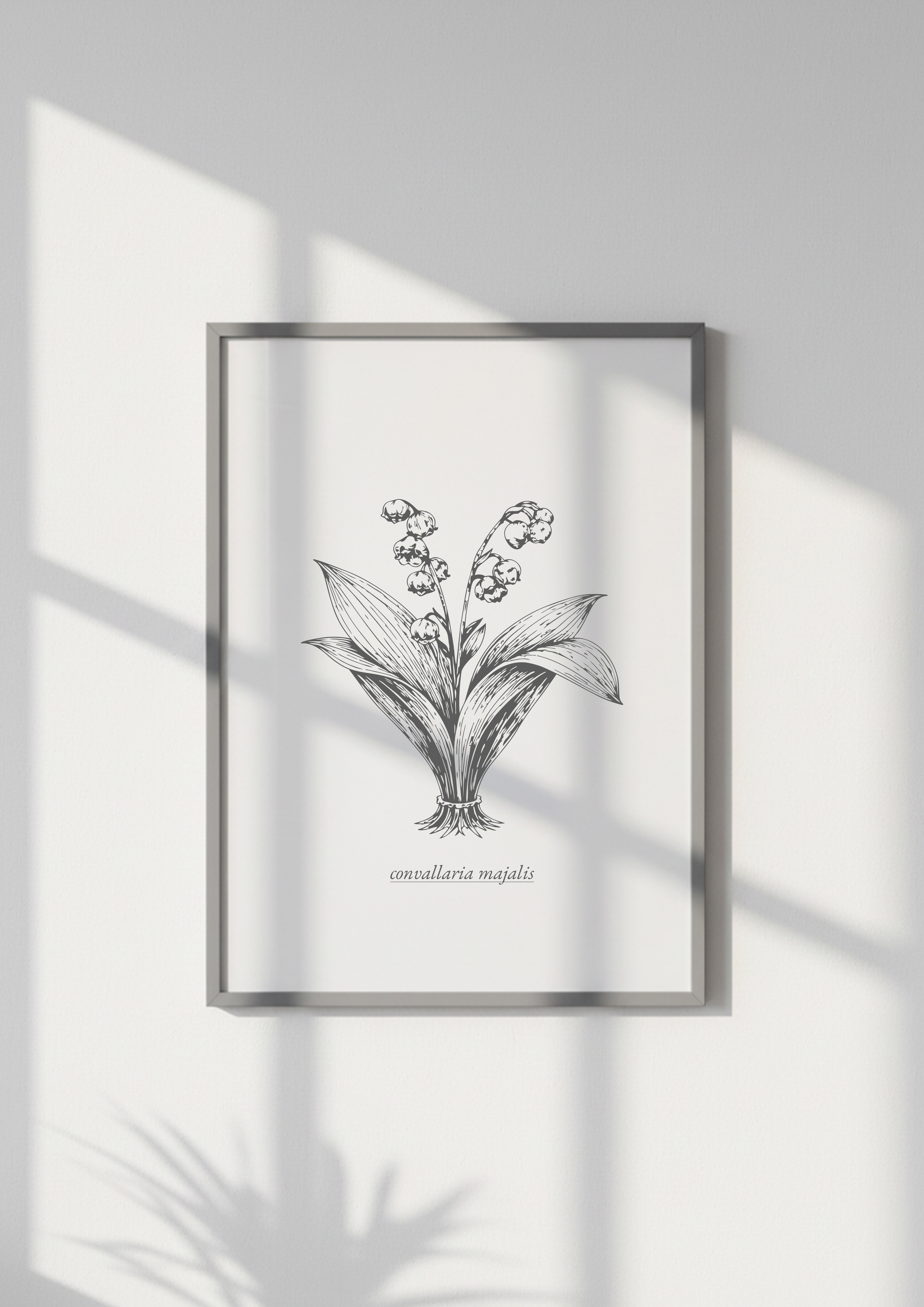 Heřmánek pravý - test